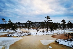 Kemerin kansallispuiston ulkoilmakierros