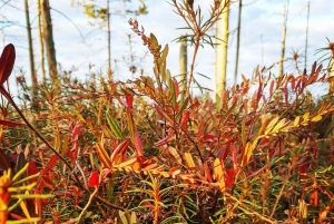 Kemerin kansallispuiston ulkoilmakierros