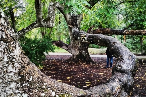 Kemerin kansallispuiston ulkoilmakierros