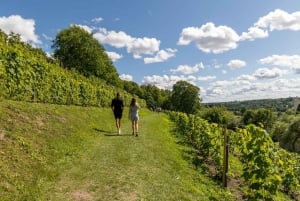 Kuldiga, waterfall gem of Latvia tour with wine tasting