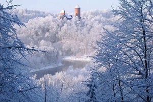 Riga: Sigulda Bobsled & Luge Track Ride w/ Hotel Transfers