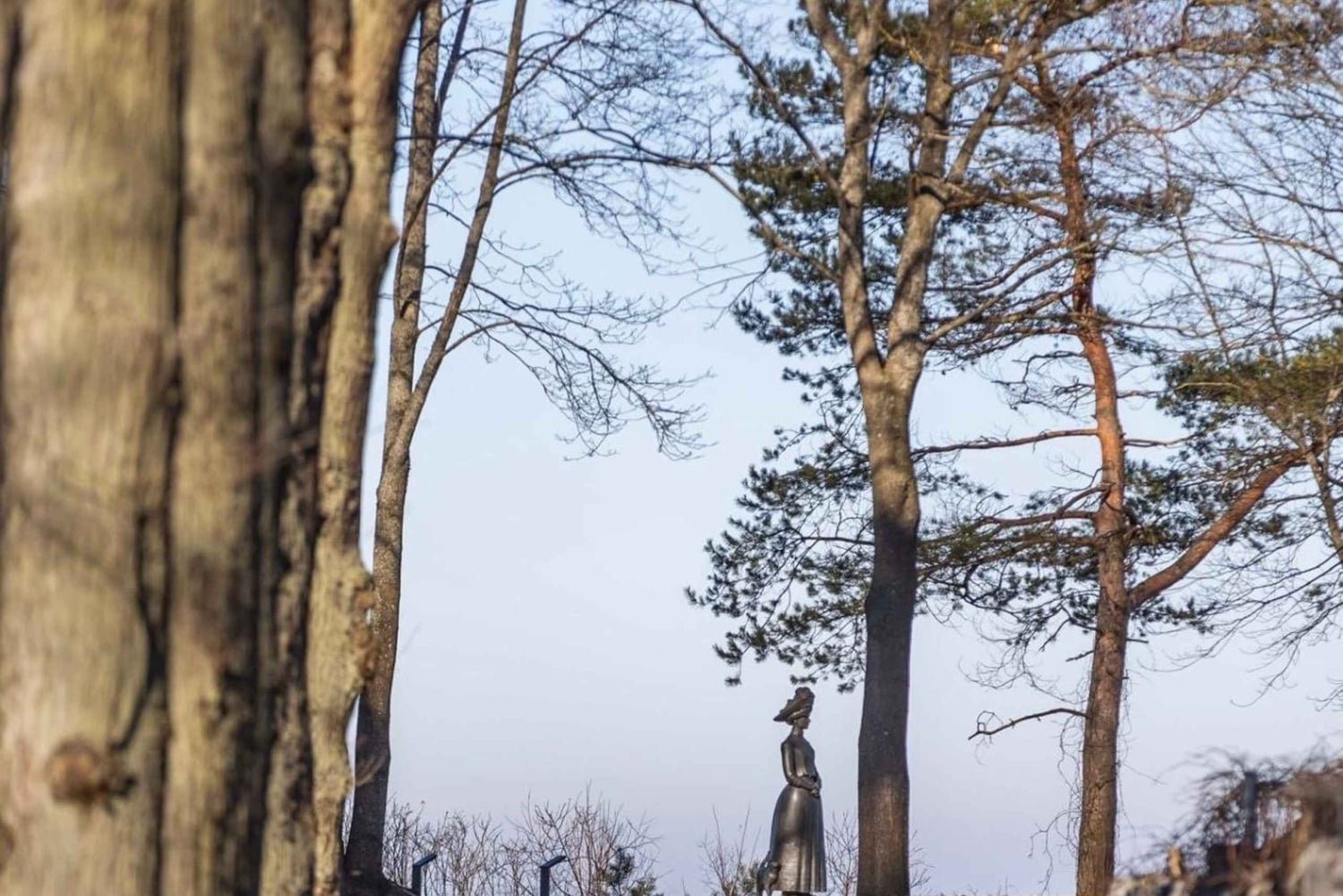Paysages lettons : Visite guidée de Kemeri et Jurmala