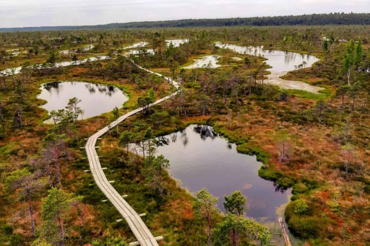 Paysages lettons : Visite guidée de Kemeri et Jurmala