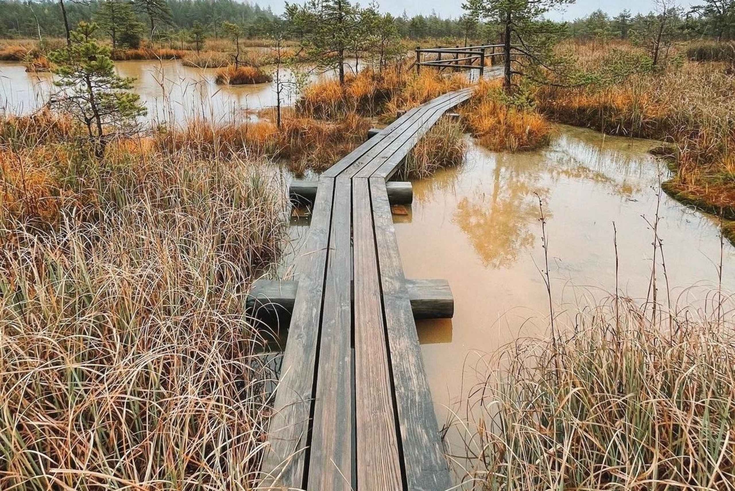 Paysages lettons : Visite guidée de Kemeri et Jurmala