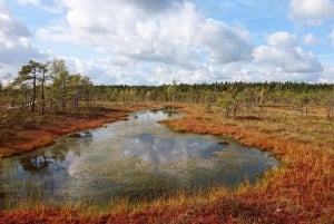 Lettiska landskap: Guidad tur till Kemeri & Jurmala