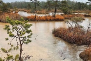 Letse landschappen: Rondleiding Kemeri & Jurmala