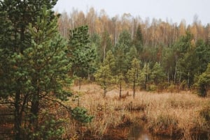 Letse landschappen: Rondleiding Kemeri & Jurmala