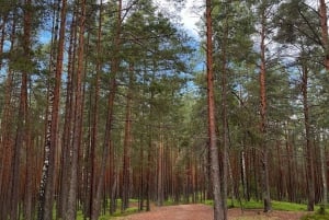 Lettiska landskap: Guidad tur till Kemeri & Jurmala
