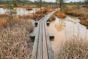 Paysages lettons : Visite guidée de Kemeri et Jurmala