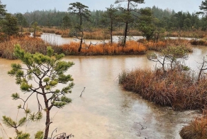 Paysages lettons : Visite guidée de Kemeri et Jurmala
