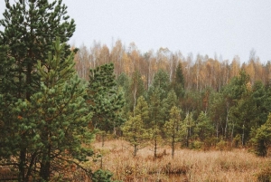 Paysages lettons : Visite guidée de Kemeri et Jurmala