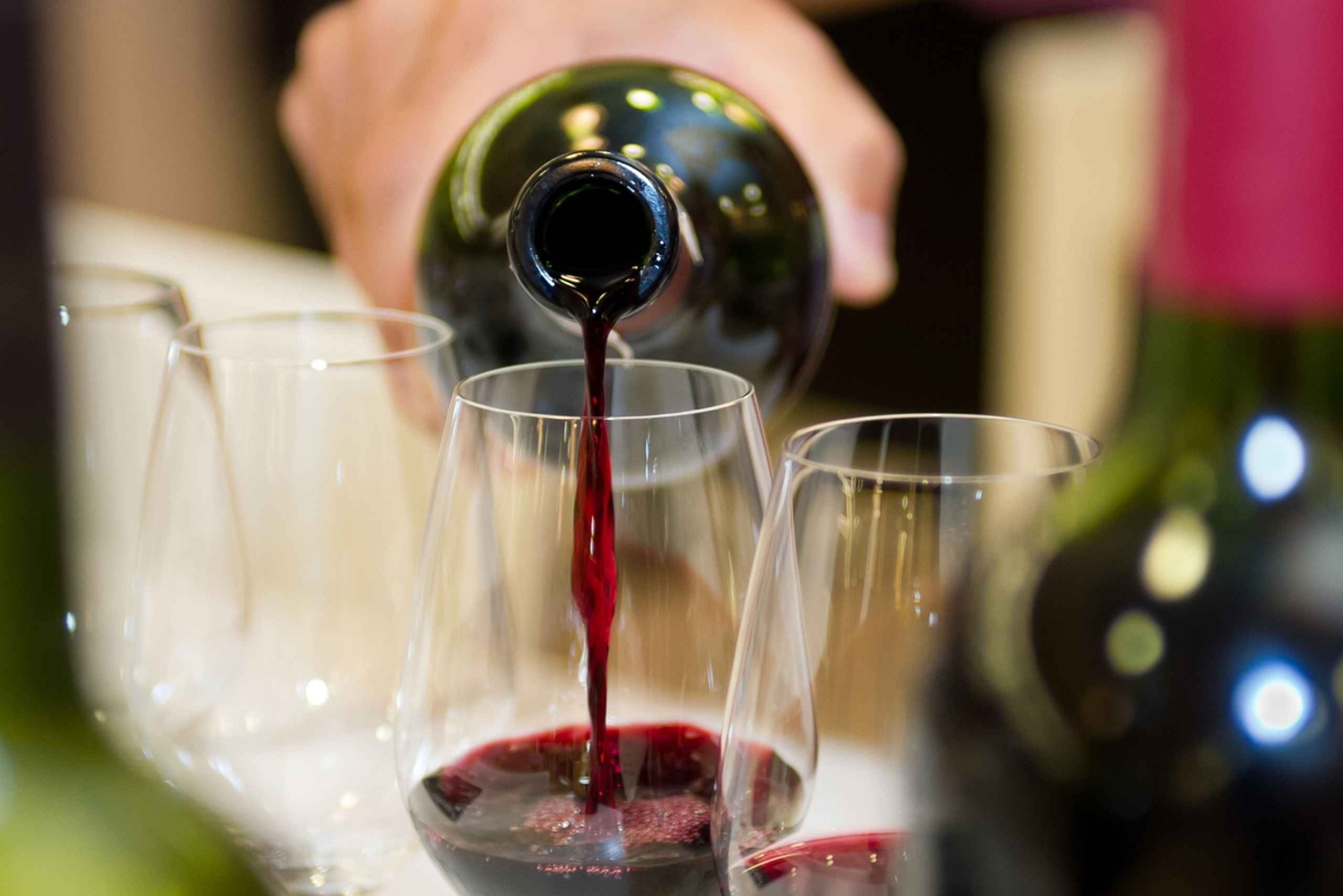 Latvian viini -yksityiskierros Seikkailu: Tutustu Baltian viineihin