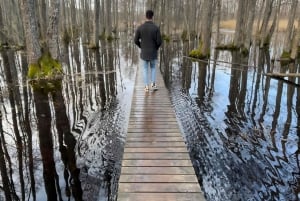 A joia oculta da Letônia: Caminhada e transporte na trilha natural do lago