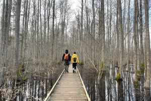 Latvia's Hidden Gem: Lake Nature Trail Hike & Transport