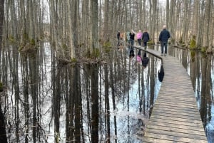 Verborgen parel van Letland: Wandeling & vervoer over het natuurpad langs het meer