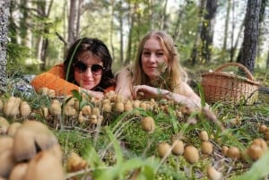 Mushroom picking in the forests near Riga