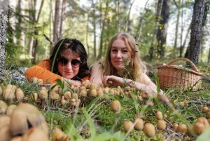 Cueillette de champignons dans les forêts près de Riga