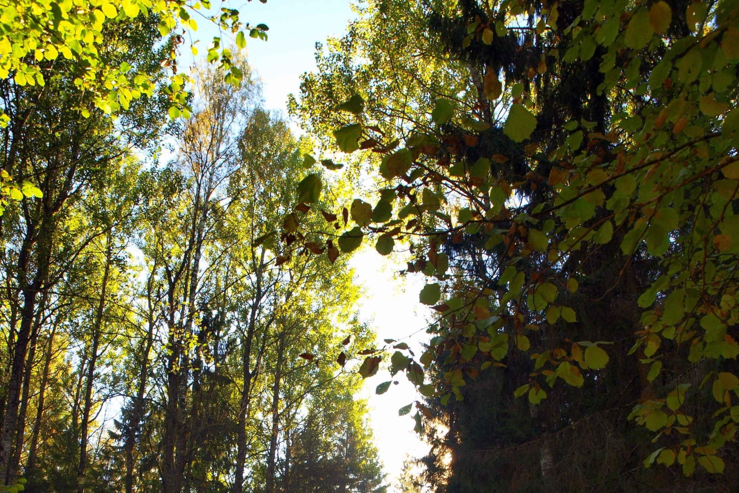 Pokaini kiviröykkiöt, Dobelen linna, lapsiparkki