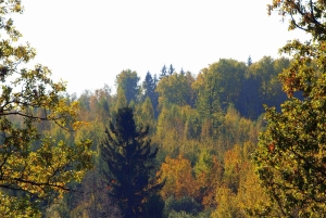 Pokaini kiviröykkiöt, Dobelen linna, lapsiparkki