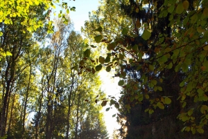 Pokaini kiviröykkiöt, Dobelen linna, lapsiparkki