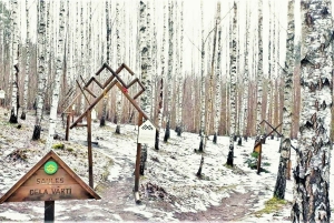 Pokaini kiviröykkiöt, Dobelen linna, lapsiparkki