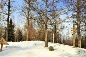 Pokaini kiviröykkiöt, Dobelen linna, lapsiparkki