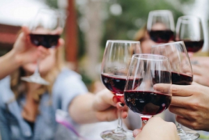 Riga: 1.5-Hour Latvian Wine Tasting Experience