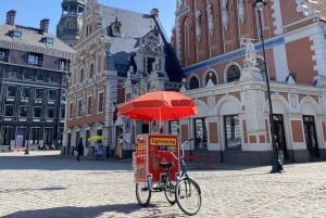 Riga: 1-Daagse Hop-on-hop-off-bustour met grote bus