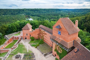 Riga: Baltic Day Tour to Sigulda, Parnu, and Tallinn