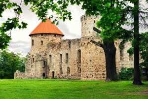 Riga: Baltic Day Tour to Sigulda, Parnu, and Tallinn