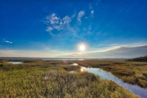 Riga: Das Beste des Nationalparks Kemeri an einem Tag