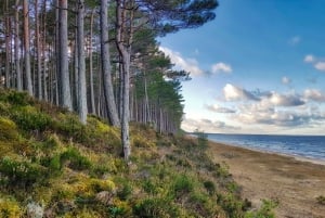 Riga : Le meilleur du parc national de Kemeri en une journée