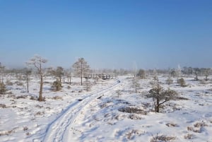 Riga: o melhor do Parque Nacional de Kemeri em um dia