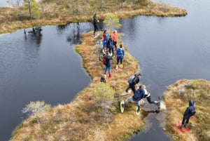 Riga: Caminhada épica com sapatos de pântano na natureza selvagem da Letônia