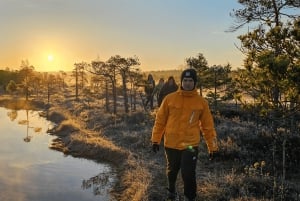 Riga: Caminhada épica com sapatos de pântano na natureza selvagem da Letônia