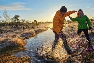 Riga: Caminhada épica com sapatos de pântano na natureza selvagem da Letônia