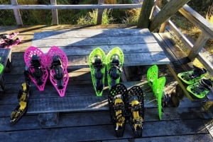 Riga: Caminhada épica com sapatos de pântano na natureza selvagem da Letônia