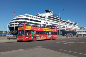 Riga: Cruise Transfer, Hop-On Hop-Off Bus, and Walking Tour