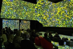 Riga: Digital Art House Entry Ticket