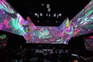 Riga: Digital Art House Entry Ticket