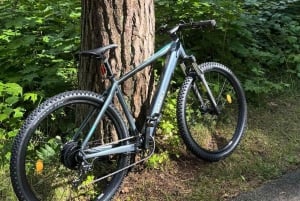 Riga : location de vélos électriques avec casque et antivol