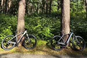 Riga : location de vélos électriques avec casque et antivol