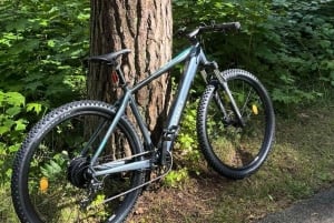 Riga: Udlejning af elcykler med hjelm og lås