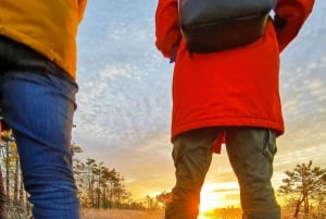 Riga: Caminhada épica com sapatos de pântano na natureza selvagem da Letônia