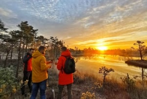 Riga: Caminhada épica com sapatos de pântano na natureza selvagem da Letônia
