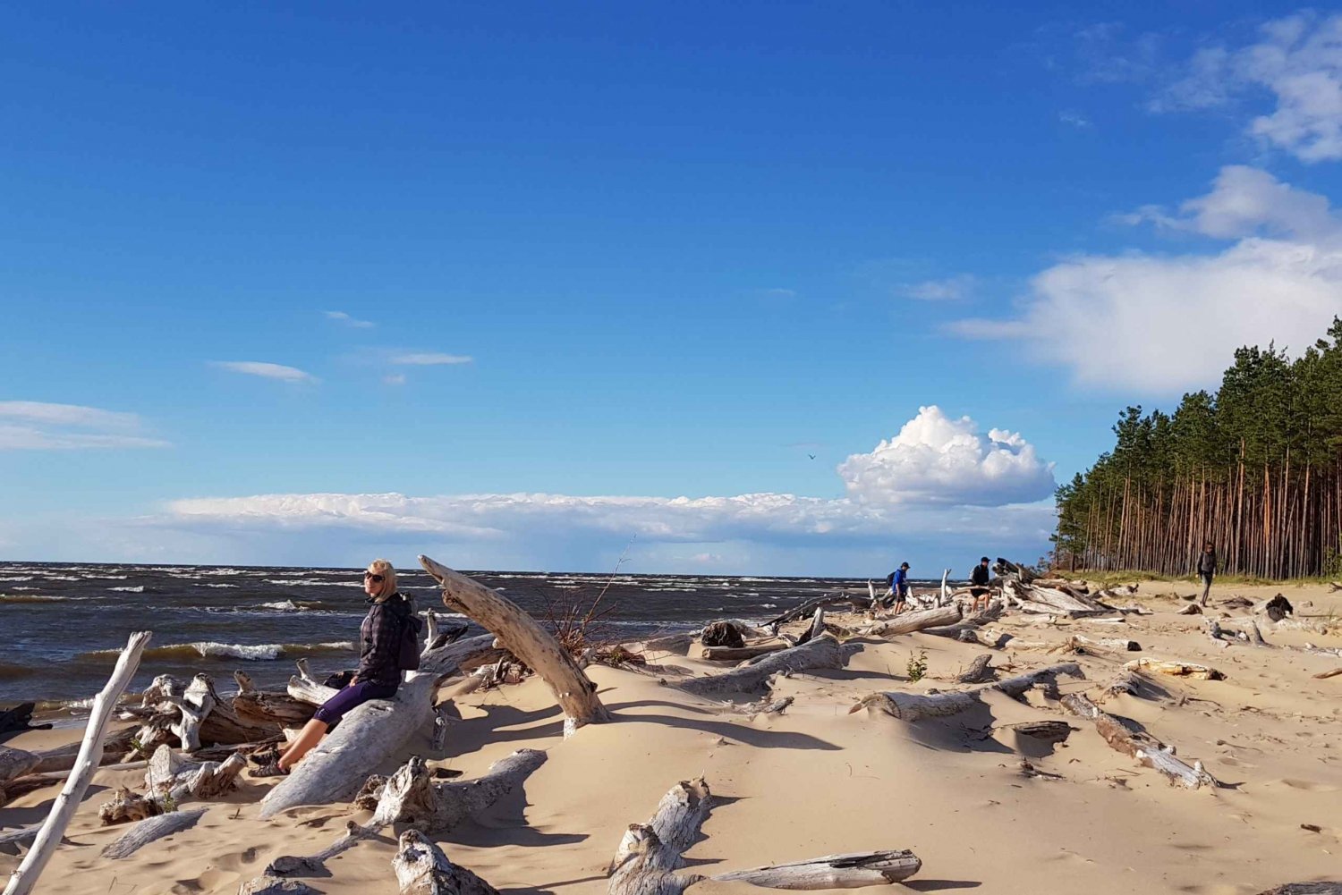 Da Riga: quattro ecosistemi naturali in un'unica escursione