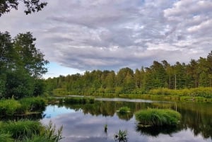 Riga: Half-Day Natural Ecosystems Hike