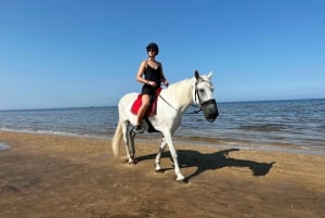 Riga Horse Riding tour along the Beach