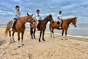 Riga Horse Riding tour along the Beach