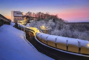 Ryga: Psie zaprzęgi husky i przejażdżka torem bobslejowym
